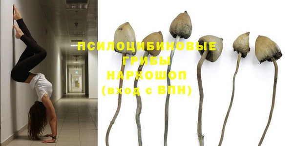крисы Михайловск