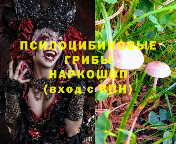 дживик Михайловка