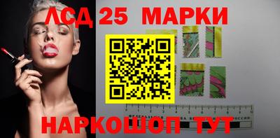 гидра Гатчина