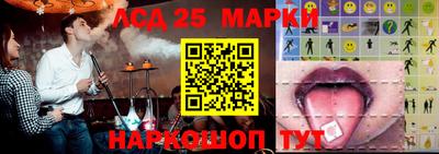 гидра Гатчина