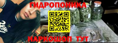гидра Гатчина