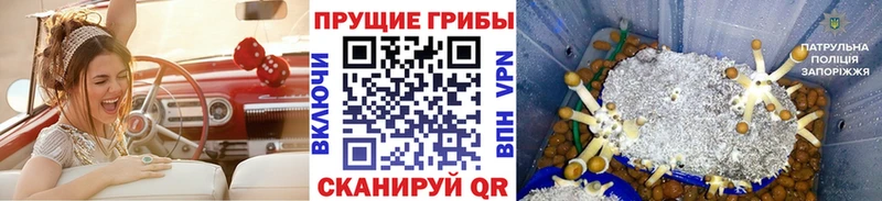 Галлюциногенные грибы ЛСД  hydra ССЫЛКА  Калуга 