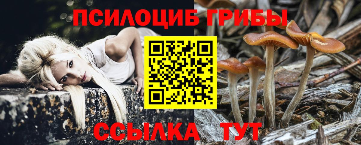 Галлюциногенные грибы Magic Shrooms Калуга