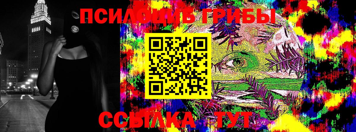 Галлюциногенные грибы MAGIC MUSHROOMS  Вход с VPN  Калуга 