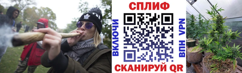 Каннабис гибрид Калуга